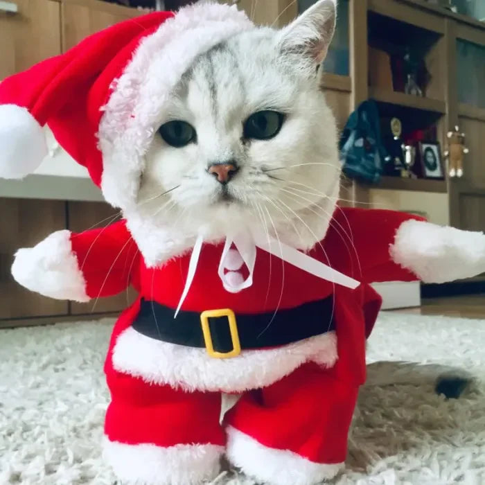 Pet Christmas Decoration Costume Pet Standing Costumez