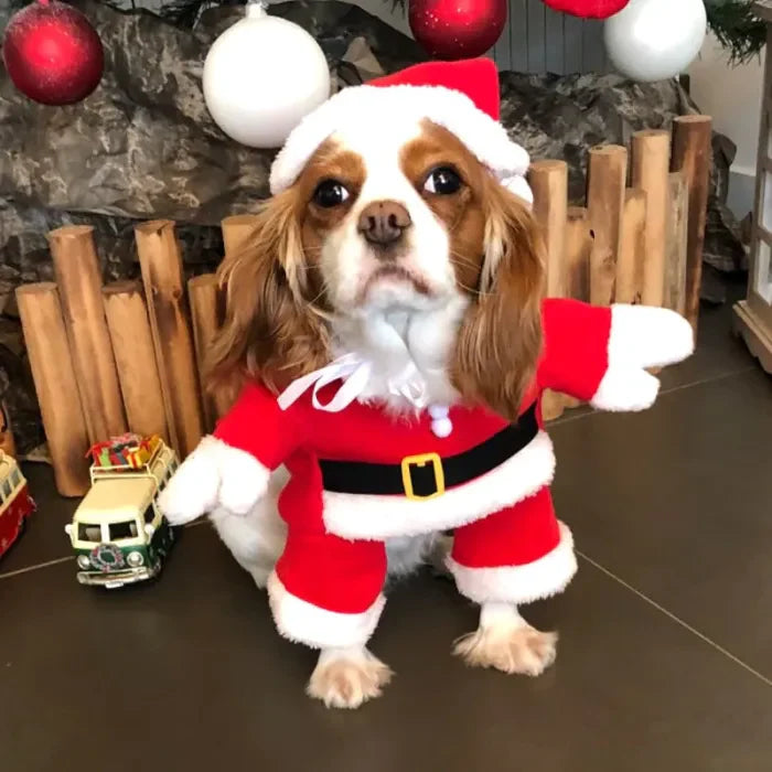 Pet Christmas Decoration Costume Pet Standing Costumez