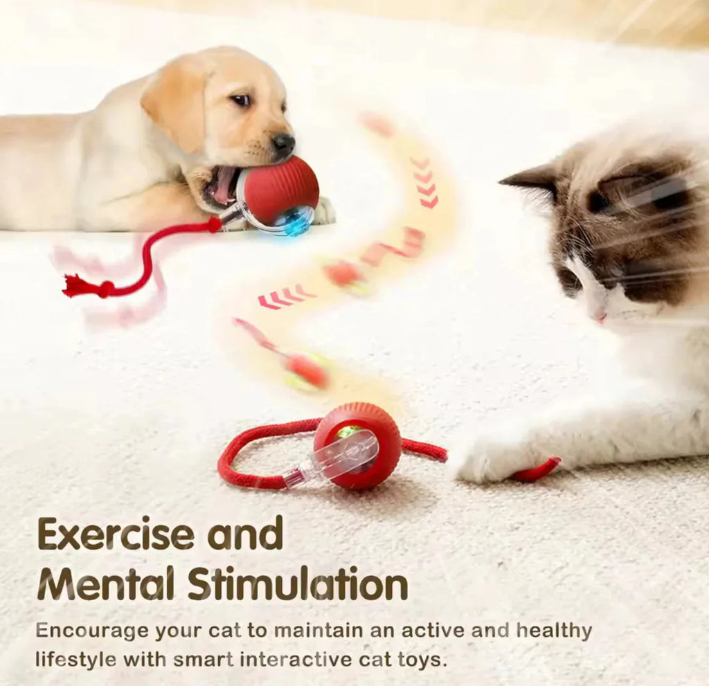 🎄2025 Best seller😻🐶Cat&Dog toy ball cat&dog toy electric moving ball toy