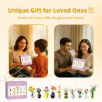 🎉Last Day 50% OFF⏰️Magnetic Mini Vase Set