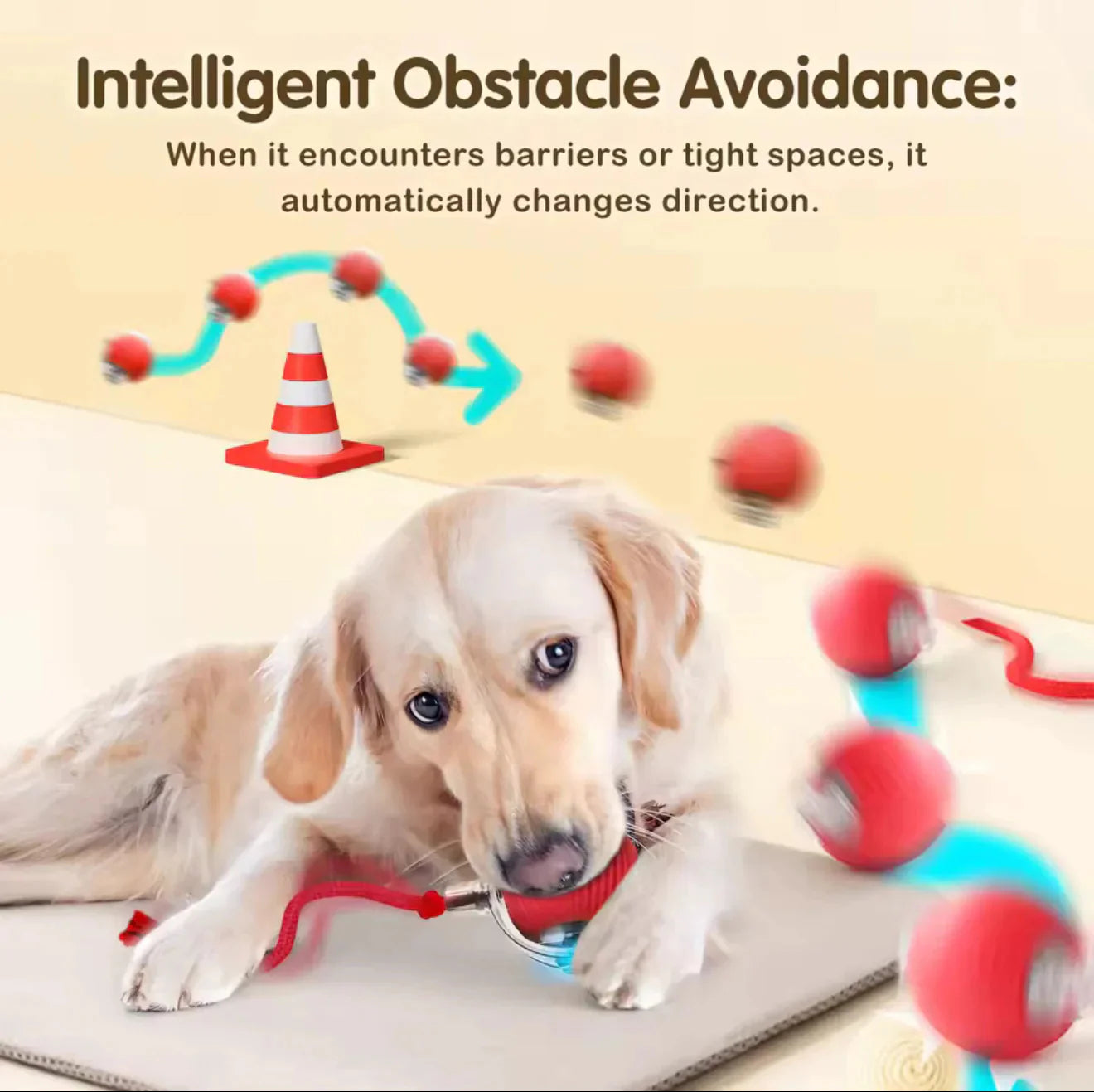 🎄2025 Best seller😻🐶Cat&Dog toy ball cat&dog toy electric moving ball toy